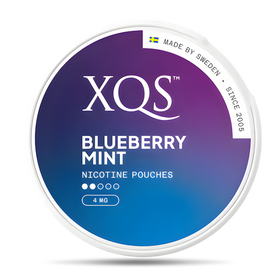 XQS Blueberry Mint Light